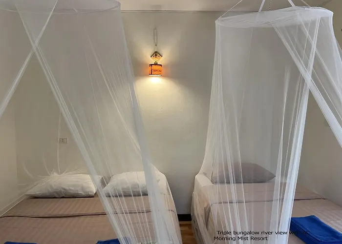 Khao Sok Morning Mist Resort