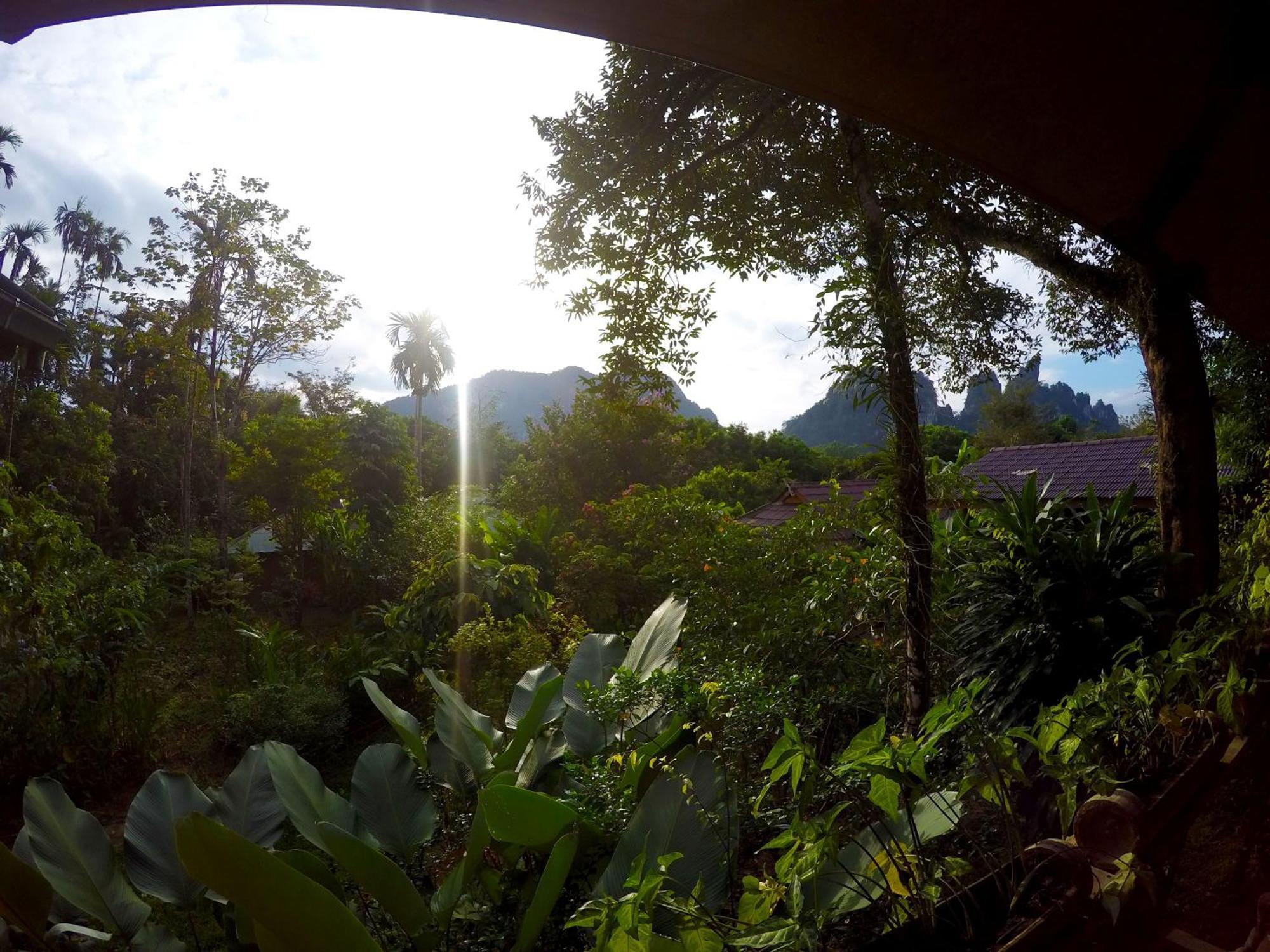 Курортный комплекс Khao Sok Morning Mist Khao Sok National Park